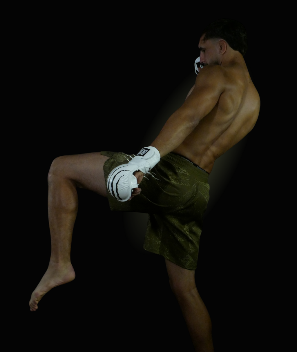 TERRAIN Fight Shorts